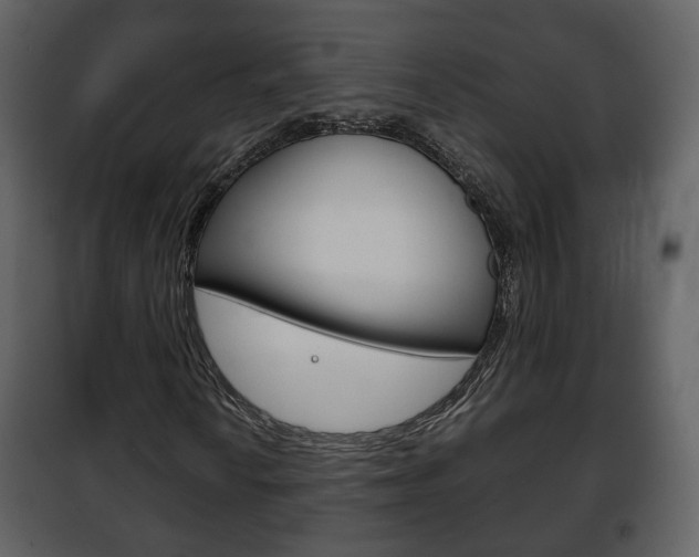 X0000101961010200807180657