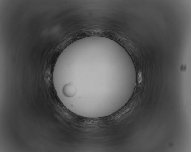 X0000101961011200807180657