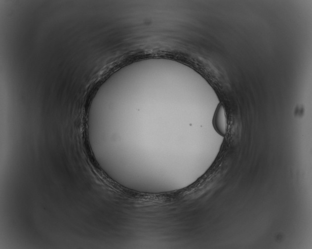 X0000101961012200807180657