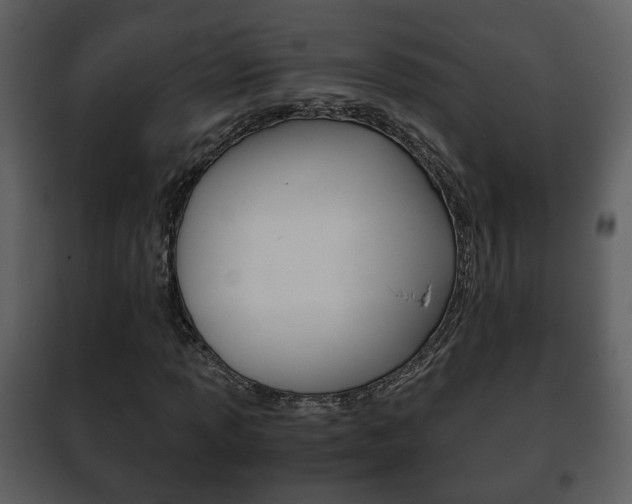 X0000101961013200807180657
