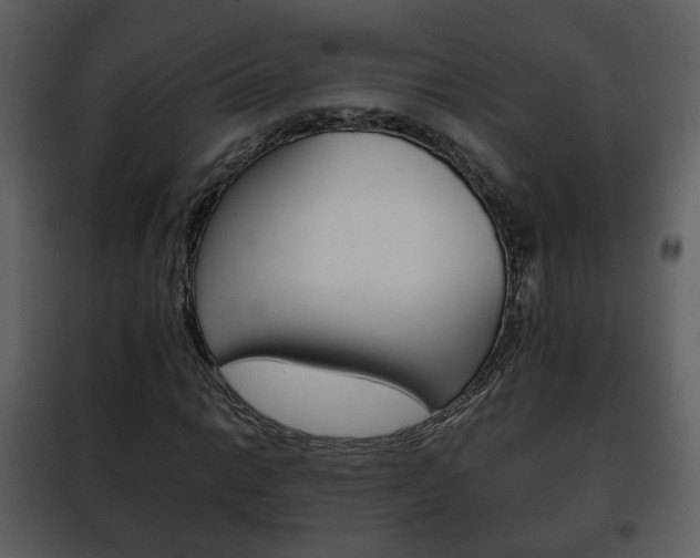 X0000101961014200807180657