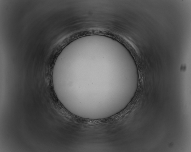 X0000101961015200807180657
