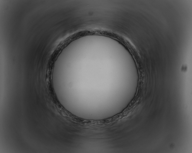 X0000101961016200807180657