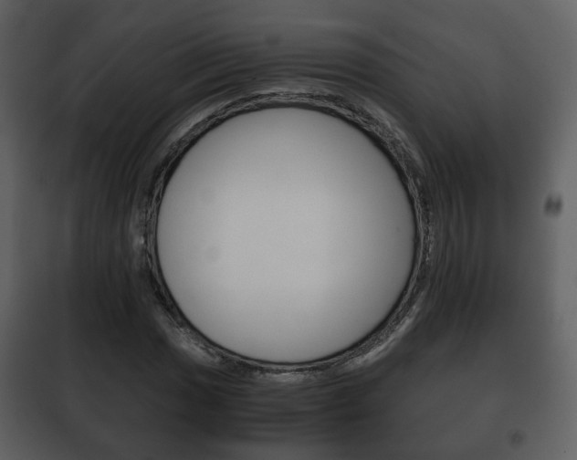 X0000101961017200807180657