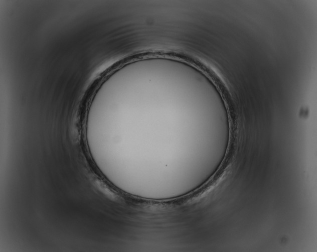X0000101961018200807180657