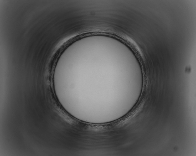 X0000101961019200807180657