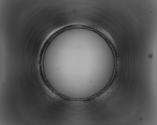 X0000101961020200807180657