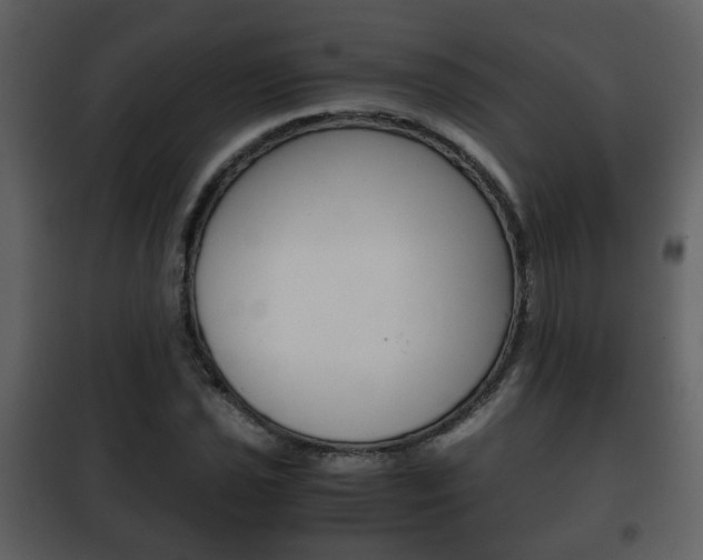 X0000101961021200807180657