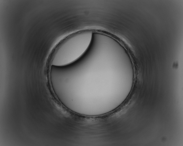 X0000101961022200807180657