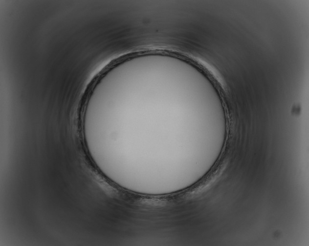 X0000101961023200807180657