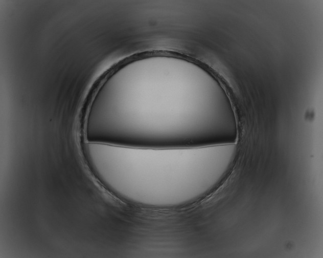 X0000101961024200807180657
