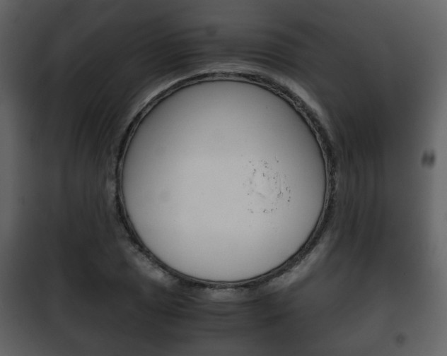 X0000101961025200807180657