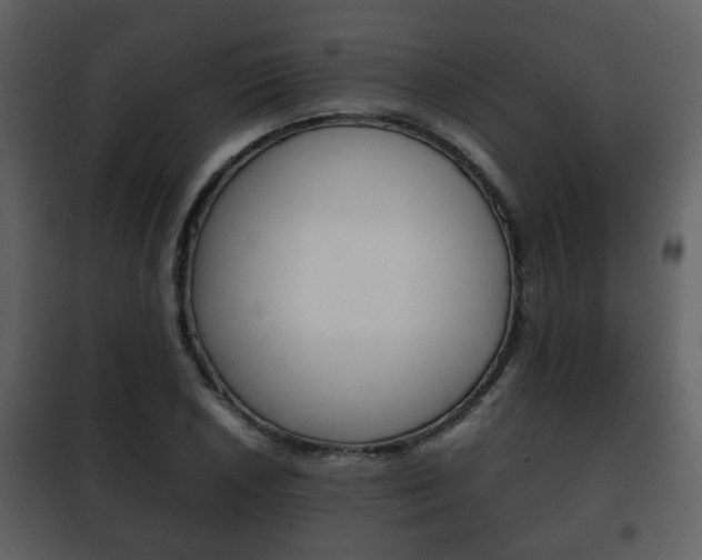 X0000101961026200807180657