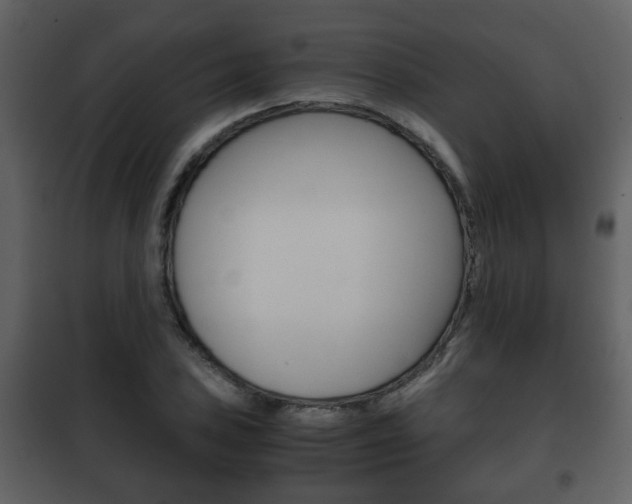 X0000101961027200807180657