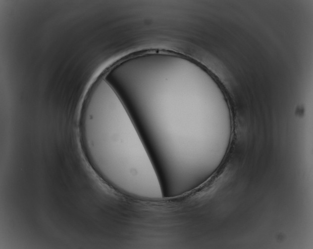X0000101961028200807180657