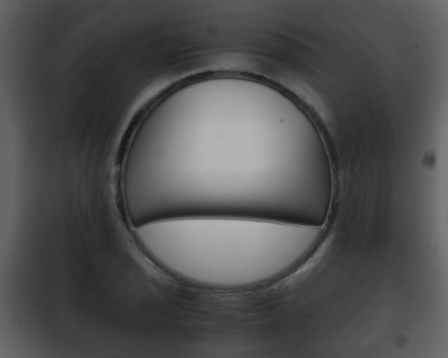X0000101961029200807180657