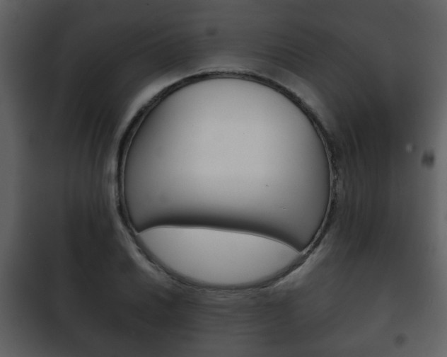 X0000101961030200807180657