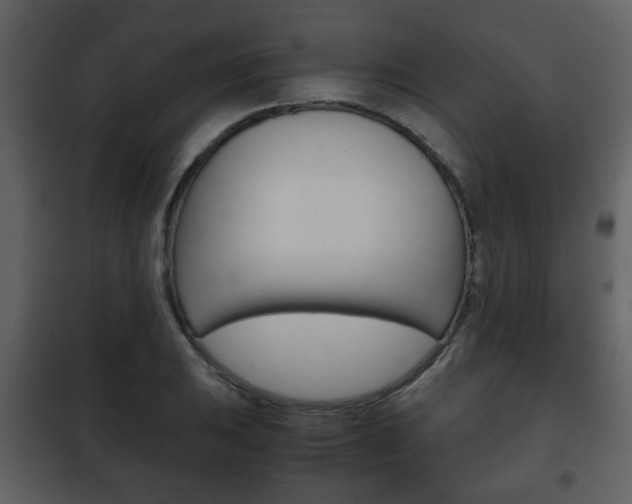 X0000101961031200807180657