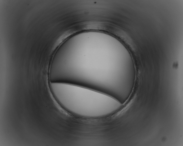 X0000101961033200807180657