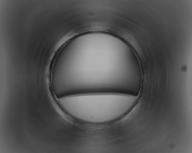 X0000101961034200807180657