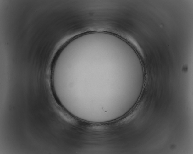 X0000101961035200807180657