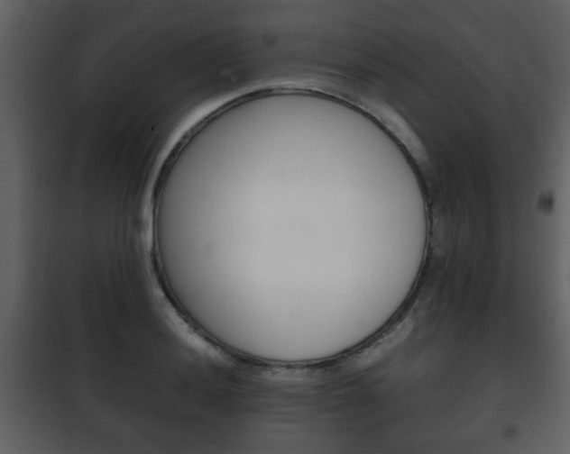 X0000101961036200807180657
