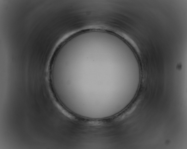 X0000101961037200807180657