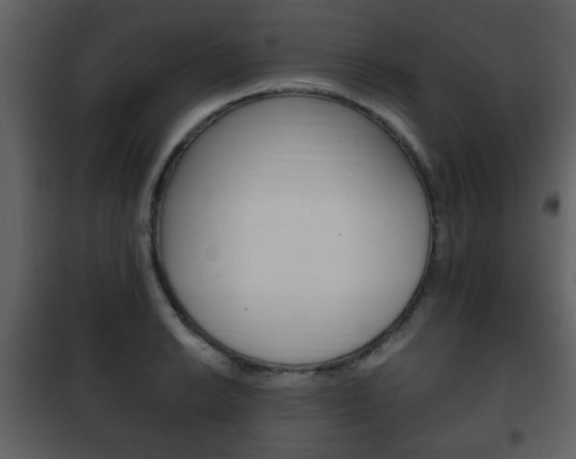 X0000101961038200807180658