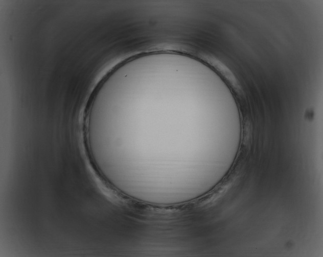 X0000101961039200807180658