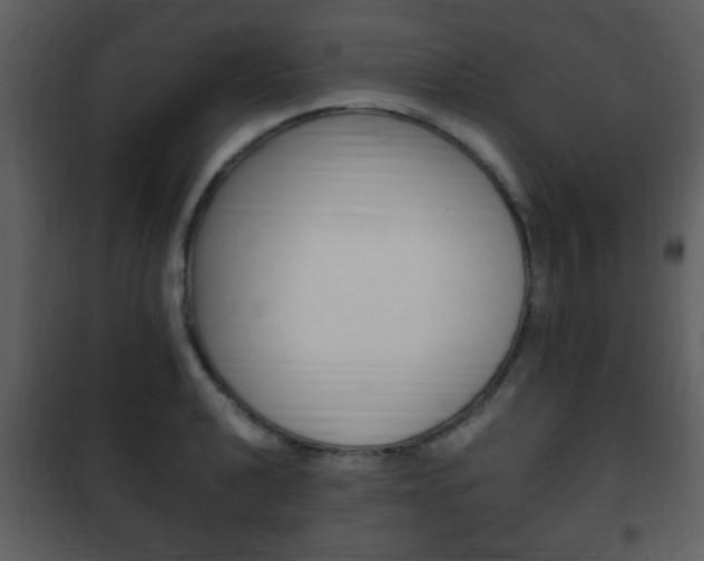 X0000101961040200807180658