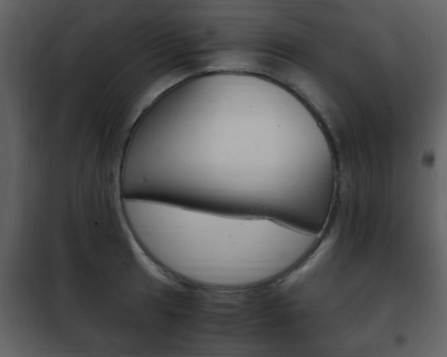 X0000101961041200807180658