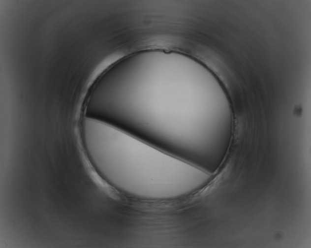 X0000101961042200807180658