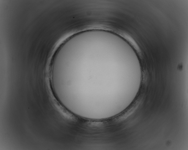 X0000101961043200807180658