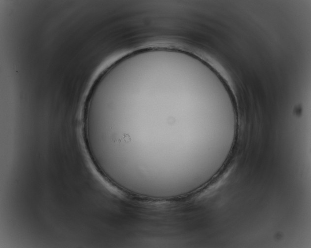 X0000101961045200807180658
