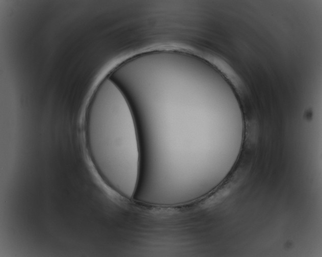 X0000101961046200807180658