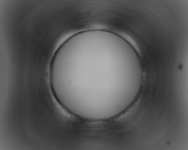 X0000101961047200807180658