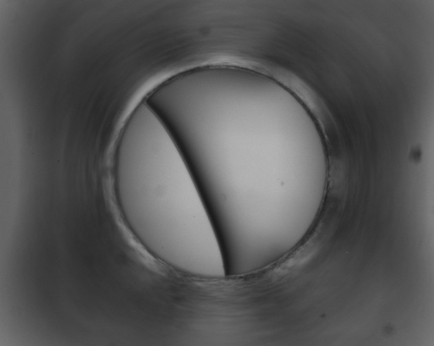 X0000101961048200807180658