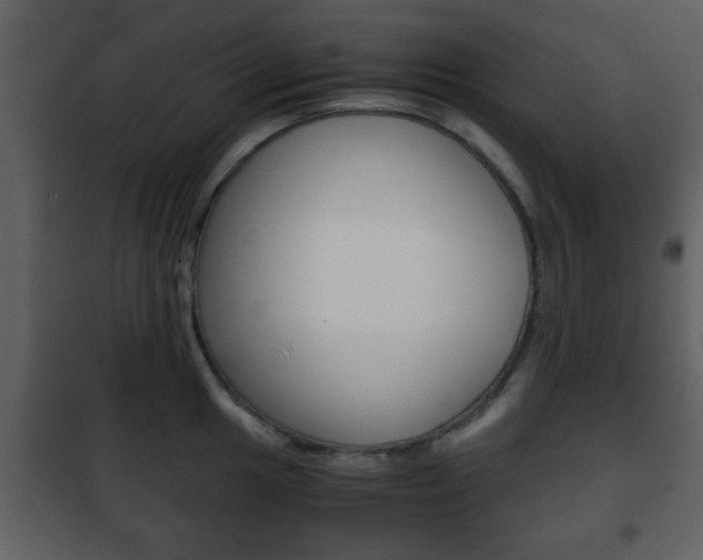 X0000101961049200807180658