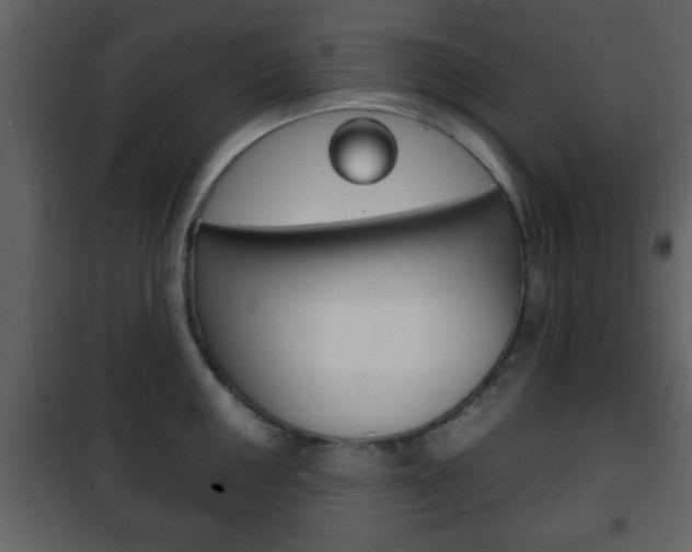 X0000101961050200807180658