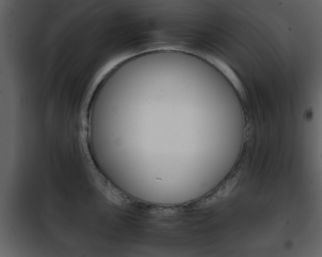 X0000101961051200807180658