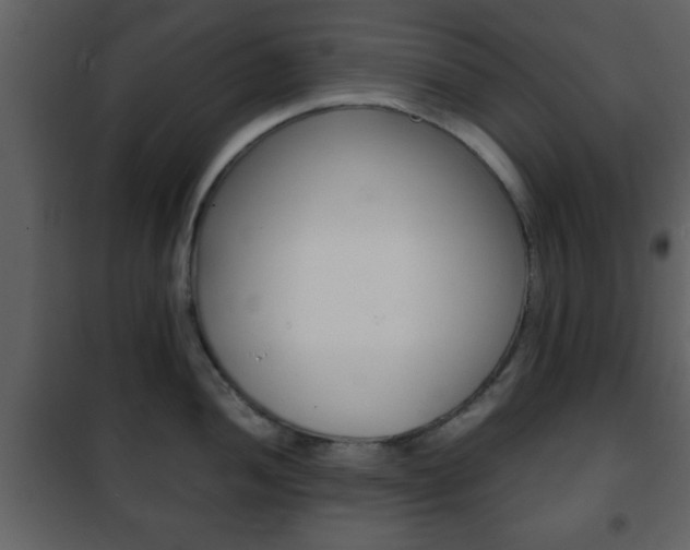 X0000101961052200807180658