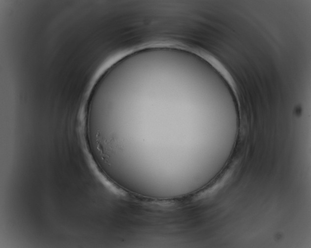X0000101961053200807180658