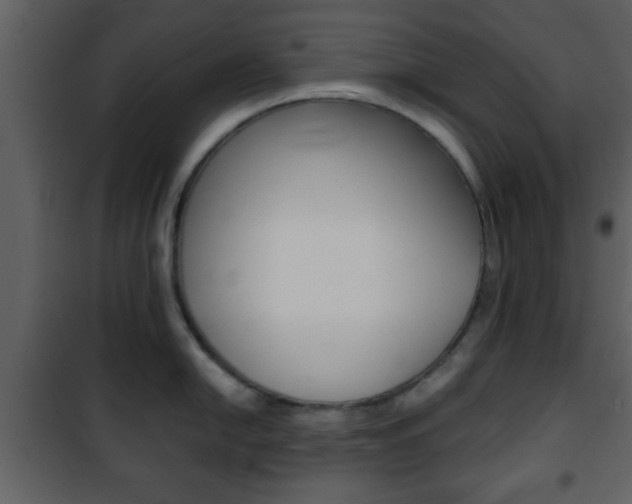 X0000101961054200807180658