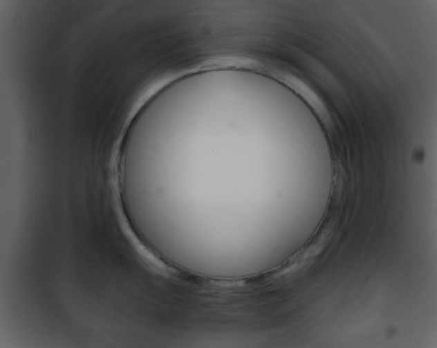 X0000101961055200807180658