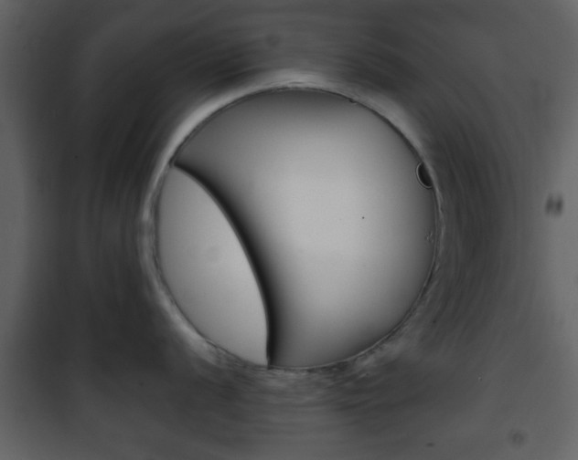 X0000101961056200807180658