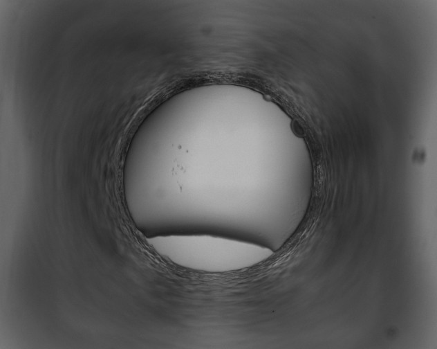 X0000101961057200807180657
