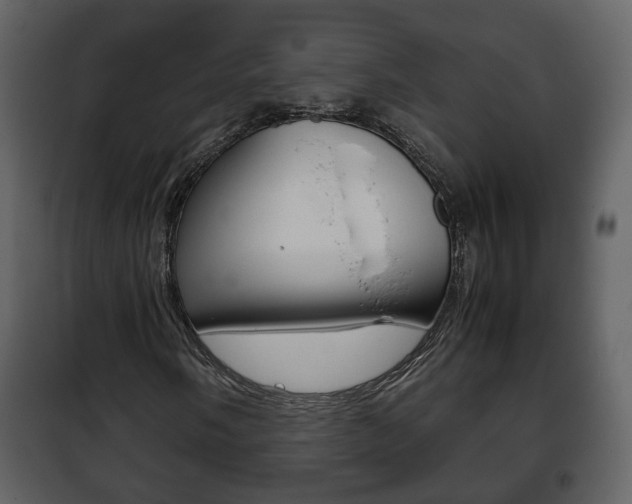 X0000101961058200807180657