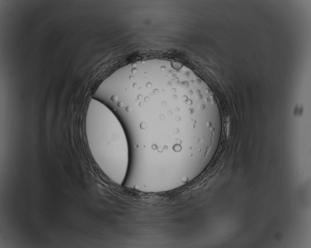 X0000101961059200807180657