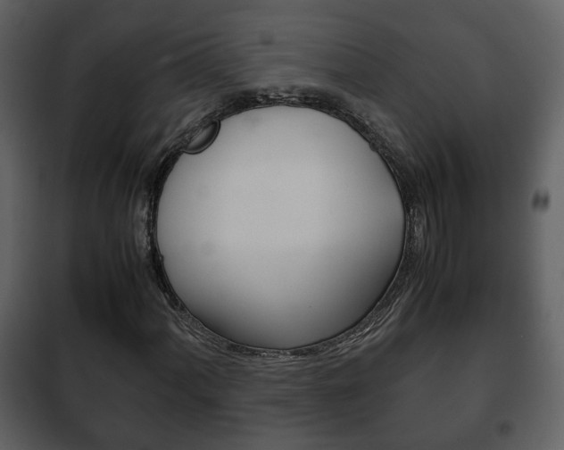 X0000101961060200807180657