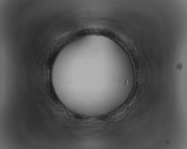 X0000101961061200807180657